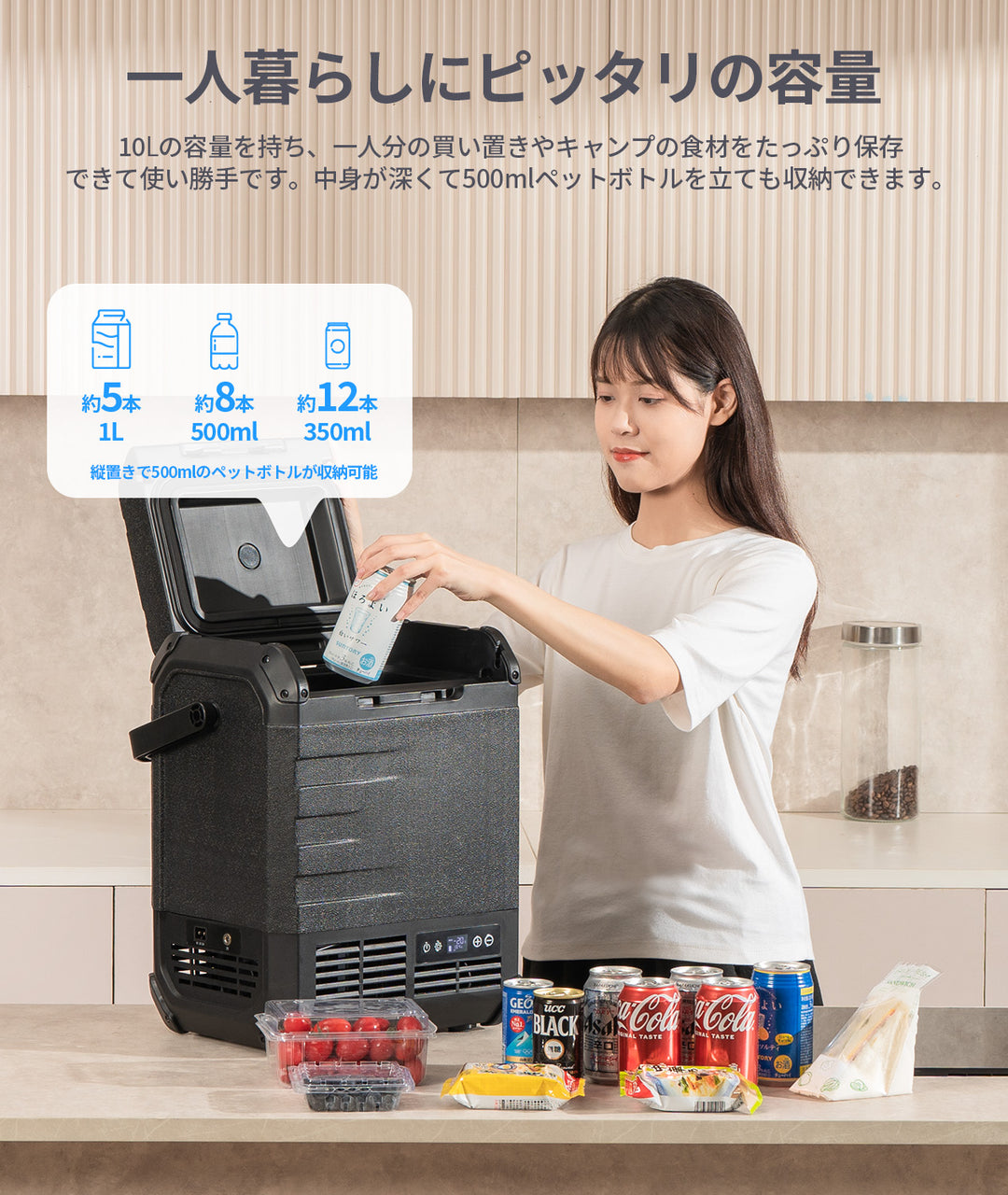 10L車載冷蔵庫D10