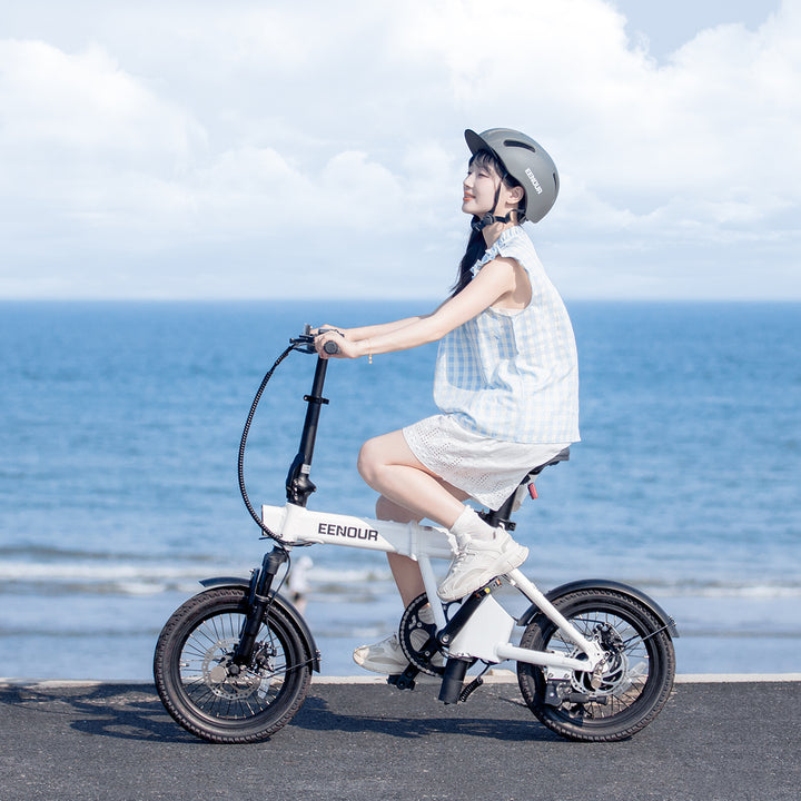 電動アシスト自転車 C1